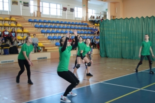 piłka siatkowa IMS 2018_9