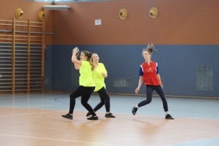 Piłka reczna dz IMS _15