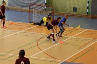 Unihokej IMS 2018_48