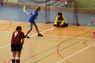 Unihokej IMS 2018_51